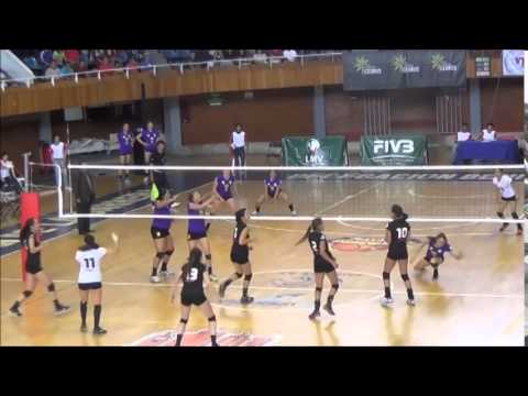 The Best of Cecy Rios