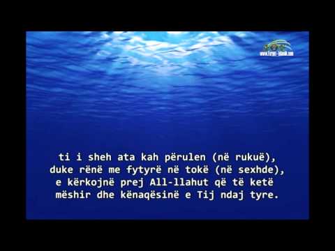 Ajete Emocionuese nga Kaptina El Fet'h (Ajetet: 27-29) - Reciton: Meshari Rashid