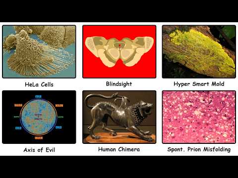 The Most Disturbing Scientific Anomalies We Can't Find An Explanation For (Pt. 3)