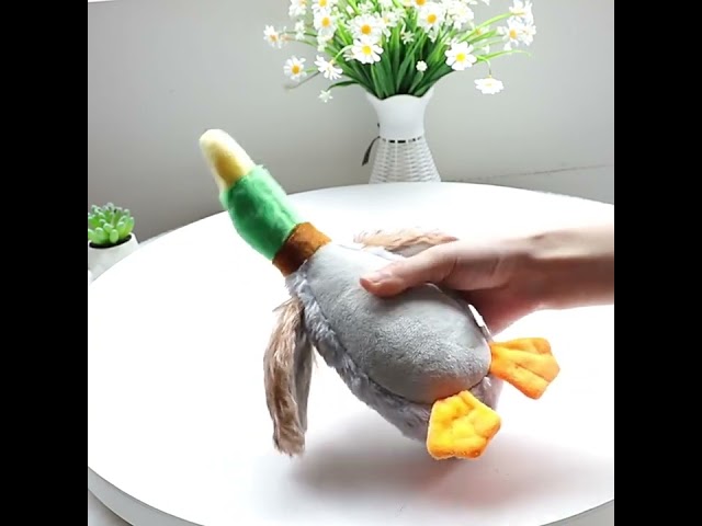 Vídeo relacionado con pclapora Juguetes Perro Pato Antiestrés, Quack-Quack Duck Juguete para Perros, Peluche para Perros, Pato Amarillo para Perro para Patito Suave y Esponjoso para Cachorros