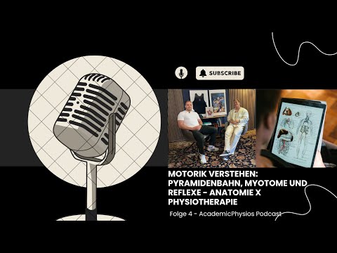 Motorik verstehen: Pyramidenbahn, Myotome und Reflexe - Anatomie x Physiotherapie