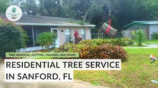 Full-Service Tree Company in Sanford, FL