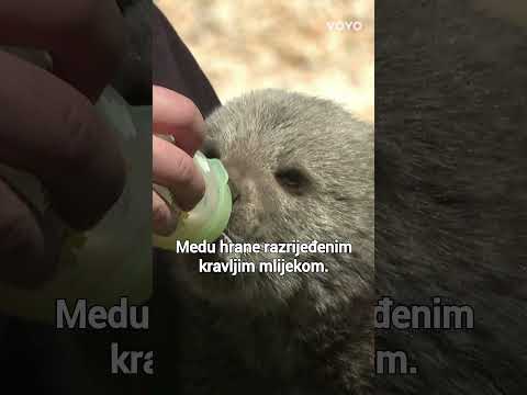 Medvjedić došao sam do prvog naselja na plitvičkom području tražeći pomoć od ljudi