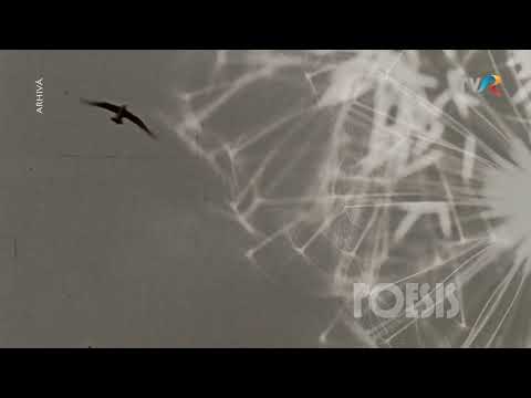 Alexandru Repan recită Celei care pleacă de Ion Minulescu