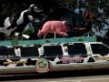 The World Famous Cow Limousine
