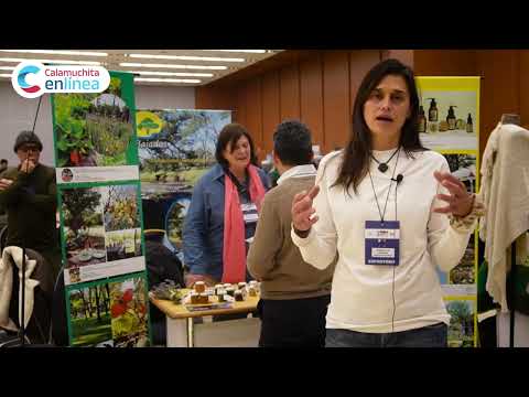 Las Bajadas: nuevo destino turístico emergente en Calamuchita