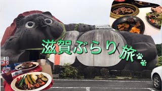 【滋賀とたぬき】滋賀はたぬきの町でした！
