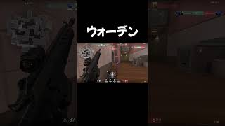 新武器ウォーデンを使ってみた【VALORANT】