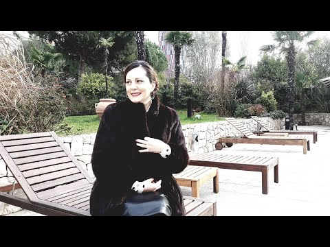 Shkolla e papërsosur - Vitrina e librit