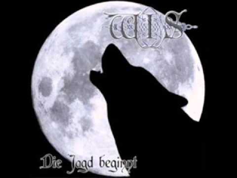 Wolf Im Schafspelz Gegenstuck