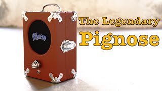 Video thumbnail for Pignose Amp #164 Doctor Guitar by Budda Guedes