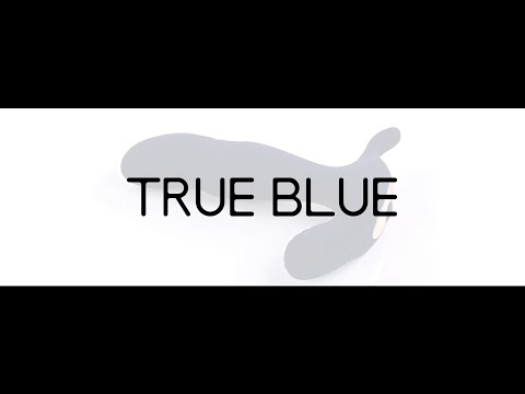 Dreamtoys Evolved GENDER X TRUE Mėlynas video