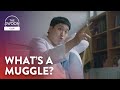 Friends don't let friends not know Harry Potter and BTS | Hospital Playlist Season 2 Ep 8 [ENG SUB]