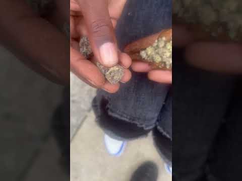 63rd and Marshfield graaaaaps