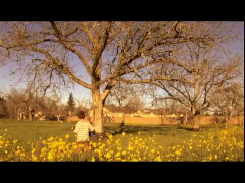 Song in My Head - Sherwood