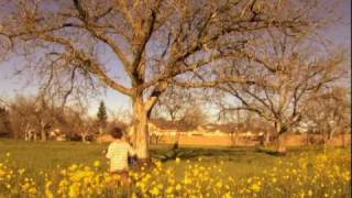 Sherwood &quot;Song In My Head&quot; Music Video