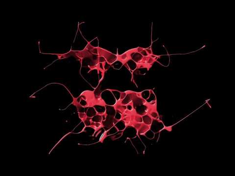 Tim Royko & Todd Terry Feat. Mona Skye - Practise (Tribal Mix)