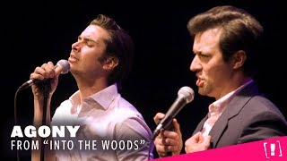 Agony - Into the Woods Cover (feat. Joey Richter &amp; Curt Mega)