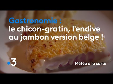 Gastronomy: chicory gratin, Belgian-style endive with ham! - Weather forecast