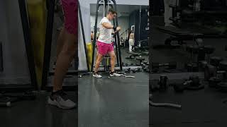 ELEVACIONES LATERALES ESTILO EGIPCIO