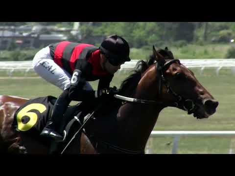 221106 c01 EMPODERADO (BRZ)