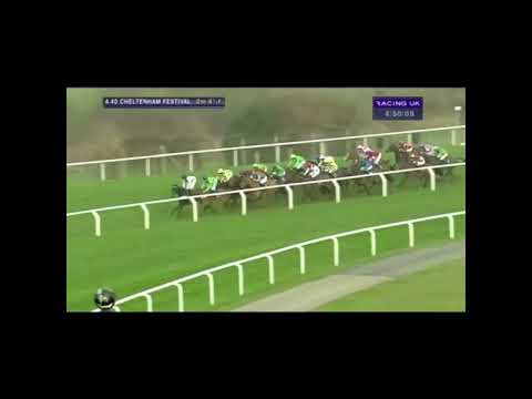 2014 Martin Pipe Conditional Jockeys' Hurdle - Cheltenham Festival