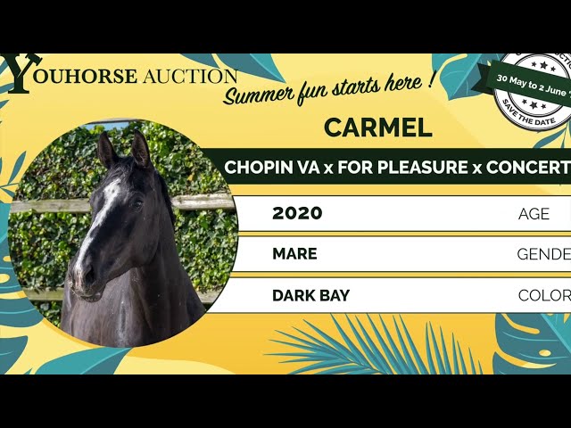 Carmel