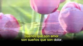 KARAOKE- CAMILO SESTO - Quieres ser mi amante