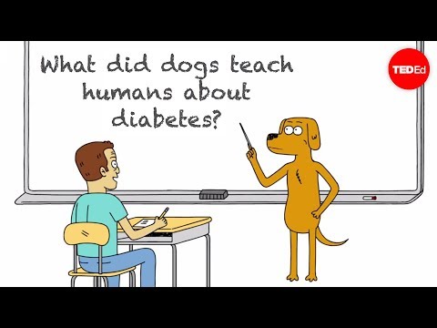 What did dogs teach humans about diabetes? - Duncan C. Ferguson