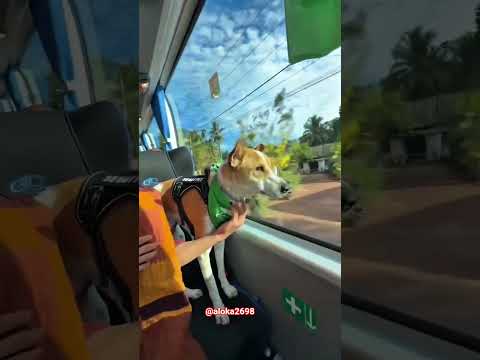 Aloka And Buddhist Monk