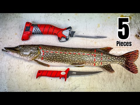 Learn The 5-Piece Pike Fillet Method THE RIGHT WAY!