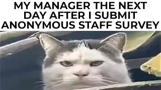 WORK MEMES
