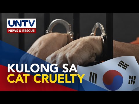 Lalake sa South Korea na pumatay ng 76 pusa, hinatulang makulong