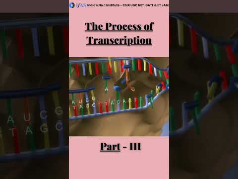 The process of Transcription #biology #ifas #molecular_biology