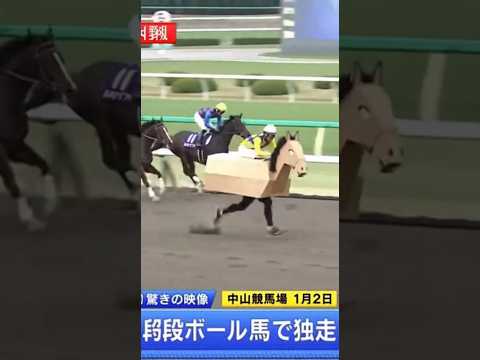 An unprecedented horse racing champion LOL 🤣