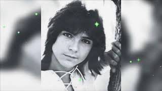 Roller Coaster- David Cassidy and The Partridge Family