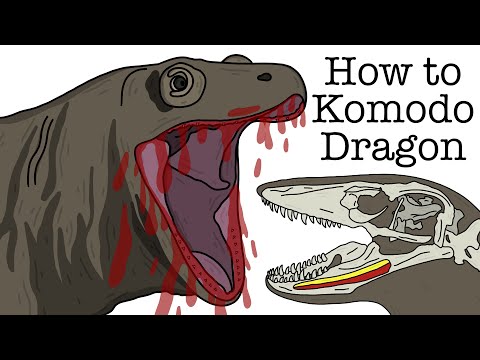 Your Life as a Komodo Dragon