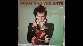 Adam and the Ants That Voodoo