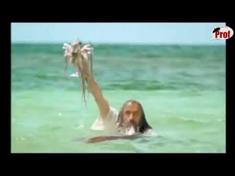 S F Vendredi ou la vie sauvage