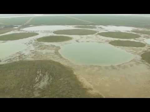 Projekt kolejowy Crossrail a budowa wyspy Wallasea