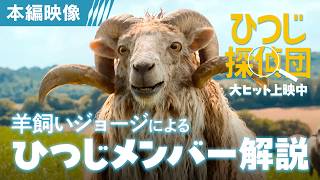 ひつじ探偵団（原題 THE SHEEP DETECTIVES ） – 映画予告編