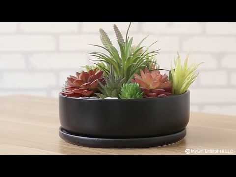 8 Inch Modern Round Black Ceramic Cactus Succulent Planter Bowl with Removable Saucer