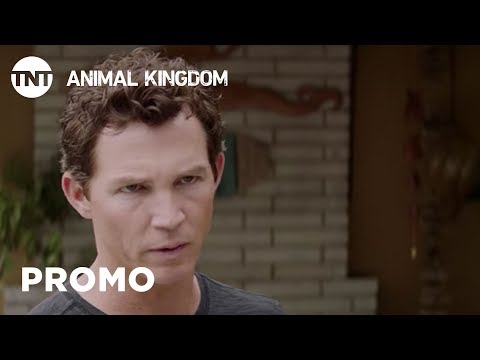Animal Kingdom Season 3 (Promo 'Leader')