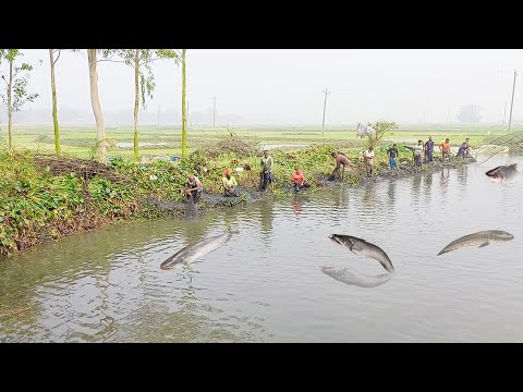 Most *Unique & Exciting* Cast Net Fishing Video 2024