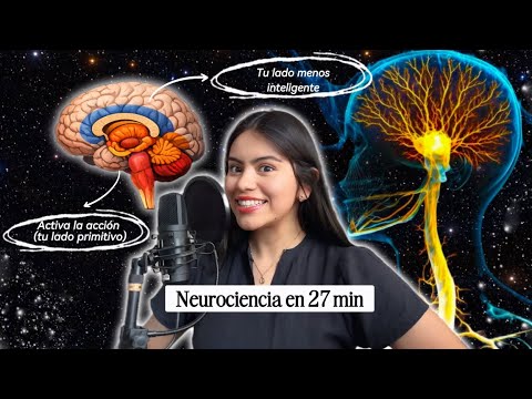 El curso más rápido para entender y ENTRENAR tu cerebro (neurociencia en 27 minutos) 