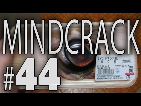 Mindcrack Number 44 - "Gourd Farm First Phase" (Z463)