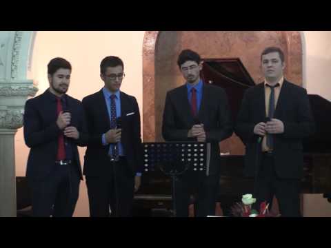 Melody Quartet - Vine pe nor