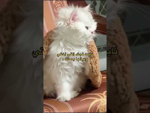 🤣🤣🤣🤣🤣🤣