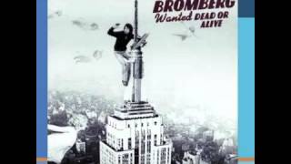 David Bromberg ~ Someone Else's Blues