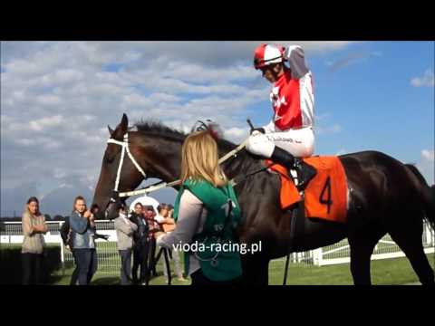 Gon. VII (Nagroda Prezesa Totalizatora Sportowego) - 2.07.2017 - Caccini (American